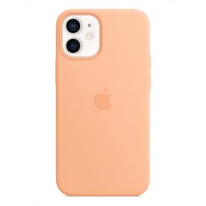iPhone 19 mini